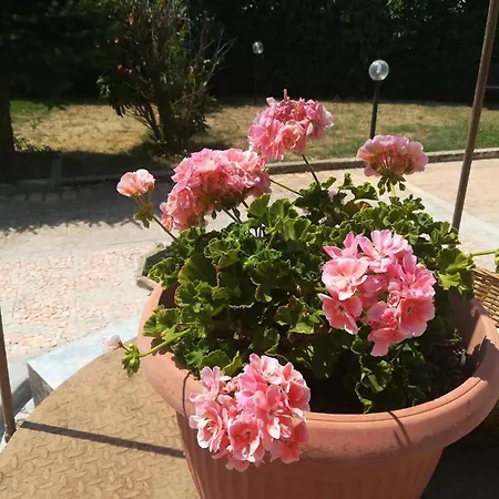 Lulu Alojamento de Acomodação e Pequeno-almoço Serino (Campania)